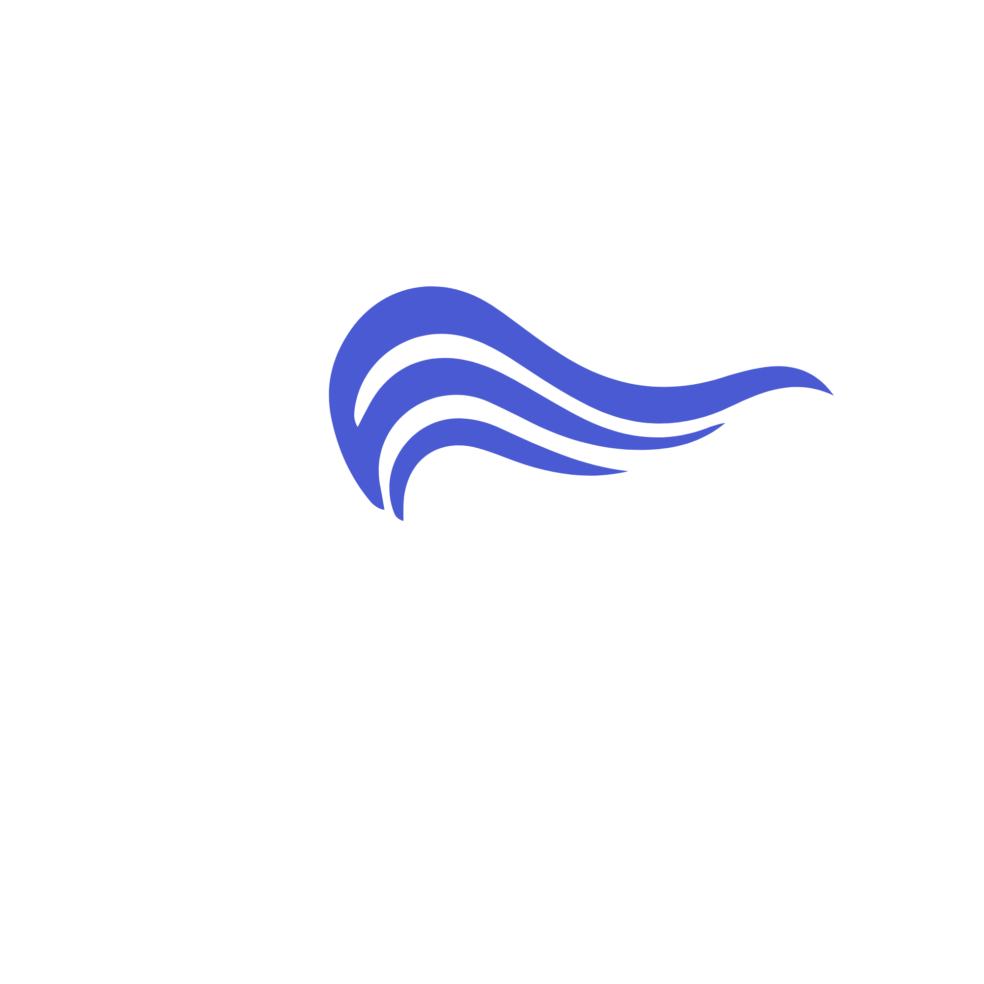 BlueWaves Logo
